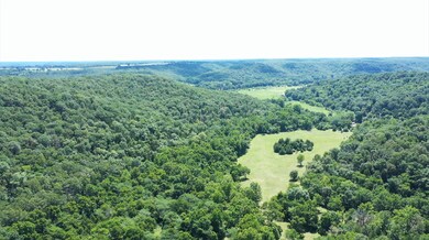 Tbd Cliff Rd, Union Township, MO 65459 - photo 6