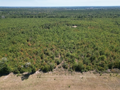 0 Black Rd unit 24725300, Marianna, FL 32446 - photo 3