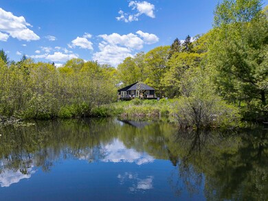 View From Pond