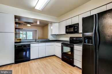 3811 Water Drop Ct, Burtonsville, MD 20866 - photo 4