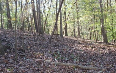 Additional View