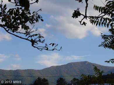 2029 Dry Run Rd, Luray, VA 22835 - photo 3