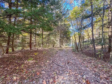 Dixon Run -04