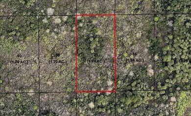 47707465_BrevardCounty