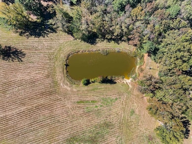 6590 Lagrange Rd, Leighton, AL 35646 - photo 6