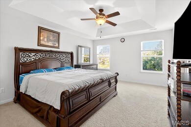 Bedroom featuring a raised ceiling, light carpet, ceiling fan, and multiple windows