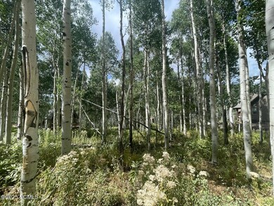 11485 E Violet Way unit 1845, Heber City, UT 84032 - photo 7