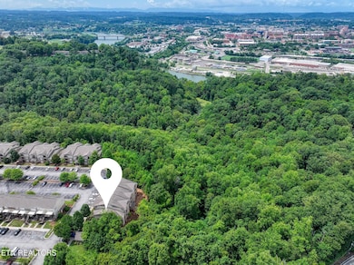 3720 Spruce Ridge Way unit 2232, Knoxville, TN 37920 - photo 5