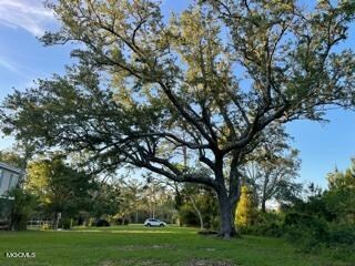 144 Mimosa St, Pass Christian, MS 39571 - photo 2