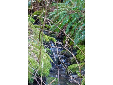 Creek