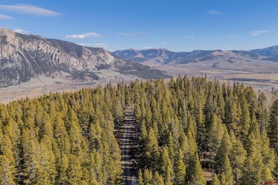 980 Saddle Ridge Rd, Crested Butte, CO 81224 - photo 6