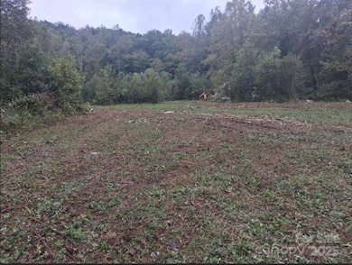 tbd 1 Morgan Lake Rd unit 1, Marion, NC 28752 - photo 2