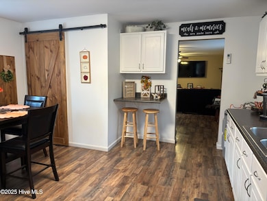 390 Phillips Hill Rd, Conway, NC 27820 - photo 6