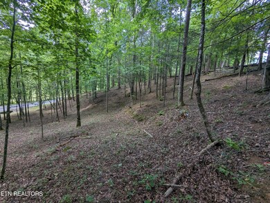 745 Hunters Run Rd, Townsend, TN 37882 - photo 6