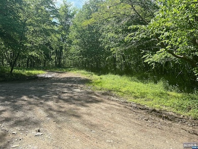 0 Gladstone Rd, West Milford, NJ 07421 - photo 3