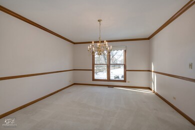 3727 De Foe Ct, Naperville, IL 60564 - photo 5