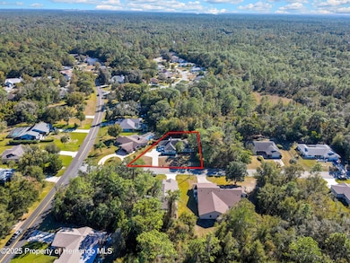 83 Greentree St, Homosassa, FL 34446 - photo 7