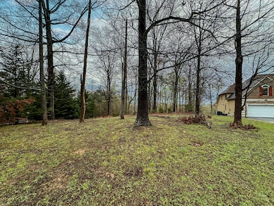 0 David Swann Dr unit 1525006, Dandridge, TN 37725 - photo 6