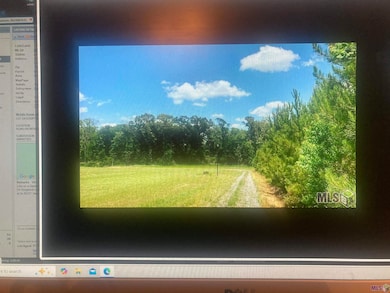 Lot # 8 Lower C Rd, Clinton, LA 70722 - photo 2