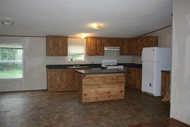 3830 Tin Top Rd, Weatherford, TX 76087 - photo 3