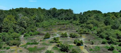 Dry Large Slough 1