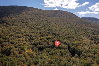 0 Tower Rd unit 28, Dorset, VT 05251 - photo 7