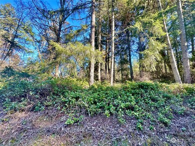 10113 Selma Cir, Anderson Island, WA 98303 - photo 2