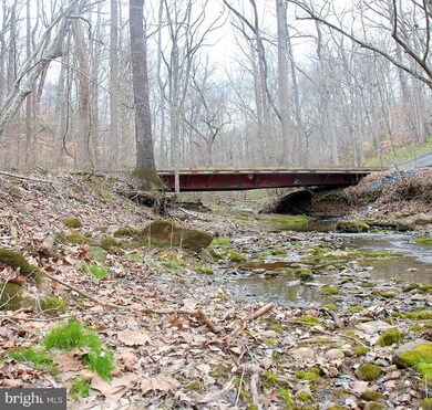 0 View Dr unit VAWR2002524, Front Royal, VA 22630 - photo 7