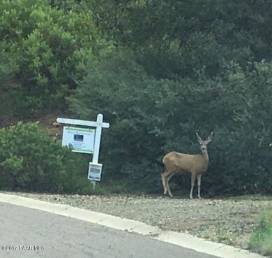 Quiet Neighbors