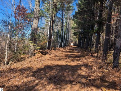 8133 Co Road 612 NE, Kalkaska, MI 49646 - photo 7