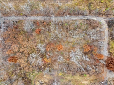 708 Rooney Rd, Rivers Township, MO 63301 - photo 4