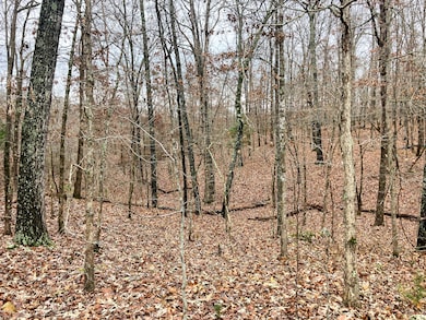 000 U S 160, Sycamore, MO 65760 - photo 3