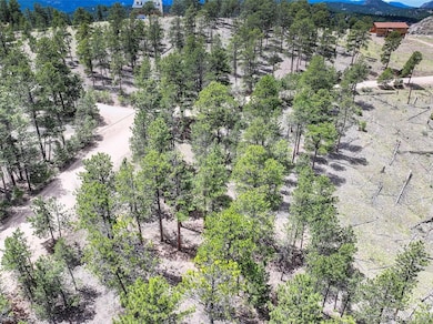 54 Holmes Gulch Rd, Bailey, CO 80421 - photo 3