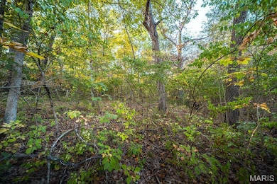 3107 Bouquet Rd, Glencoe, MO 63038 - photo 7