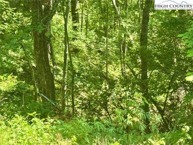 Possible build site