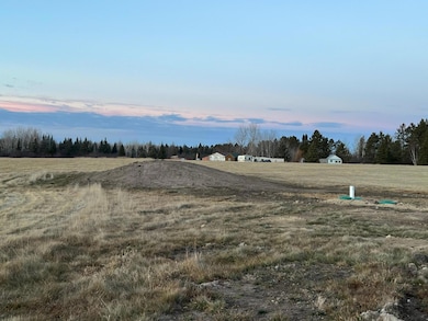 16068 County Road 56, Nashwauk, MN 55769 - photo 4