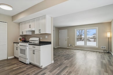 1850 Jamestown Cir unit 392, Hoffman Estates, IL 60169 - photo 6