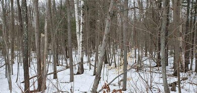 5 Tebbetts Rd, Rochester, NH 03867 - photo 4