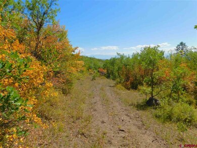 Lot 12 Aspen Hills Rd, Cedaredge, CO 81413 - photo 5