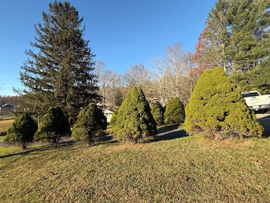 32 Penny Ln unit 32, Summersville, WV 26651 - photo 7