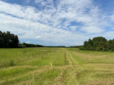 0 Cordele Hwy unit Tract 2 215622, Hawkinsville, GA 30451 - photo 2