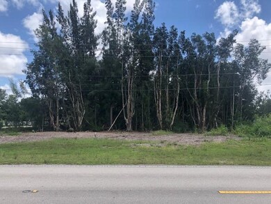 0 SW 63rd Manor, Southwest Ranches, FL 33331 - photo 3