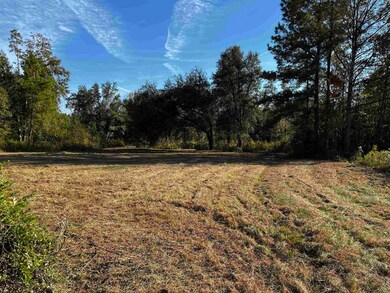 0 Fla-Ga Hwy unit 357705, Havana, FL 32333 - photo 3