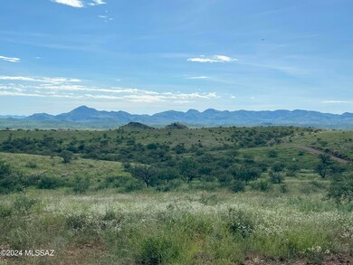 Rolling Hills of Desert Wildflowers