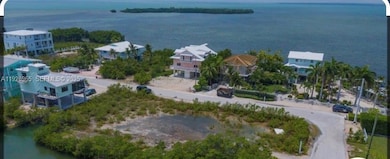 1145 Hakluyt Ln, Cudjoe Key, FL 33042 - photo 7