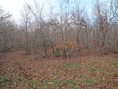 4254 V Hwy, Myrtle, MO 65778 - photo 7