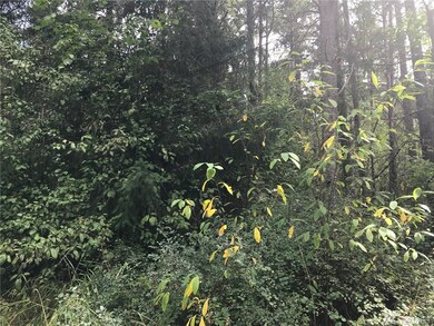 13232 Rocking South Ln SE, Yelm, WA 98597 - photo 3