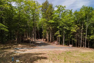 0 Legg Rd unit 20221826, Haines Falls, NY 12436 - photo 5