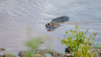 0 County Road 215, McCoy, TX 78113 - photo 2