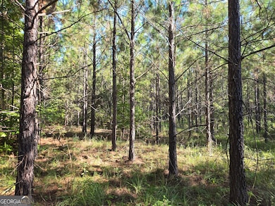 0 Alton Lawson Rd, Adrian, GA 31002 - photo 7